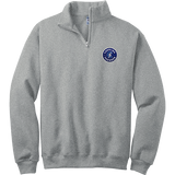 Carolina Thunder NuBlend 1/4-Zip Cadet Collar Sweatshirt