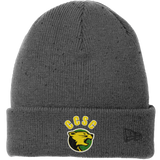Chester County New Era Speckled Beanie
