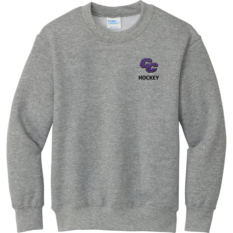 Curry College Youth Core Fleece Crewneck Sweatshirt